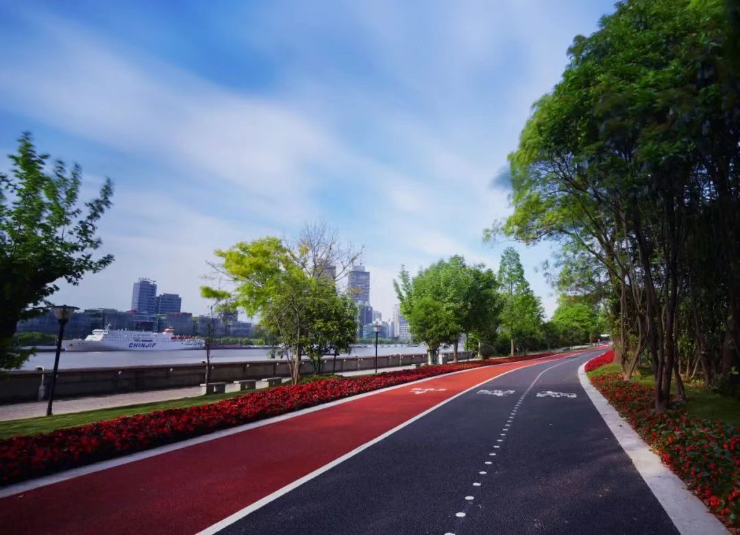 浦东正式启动金色中环发展带建设,张江科学之门动工