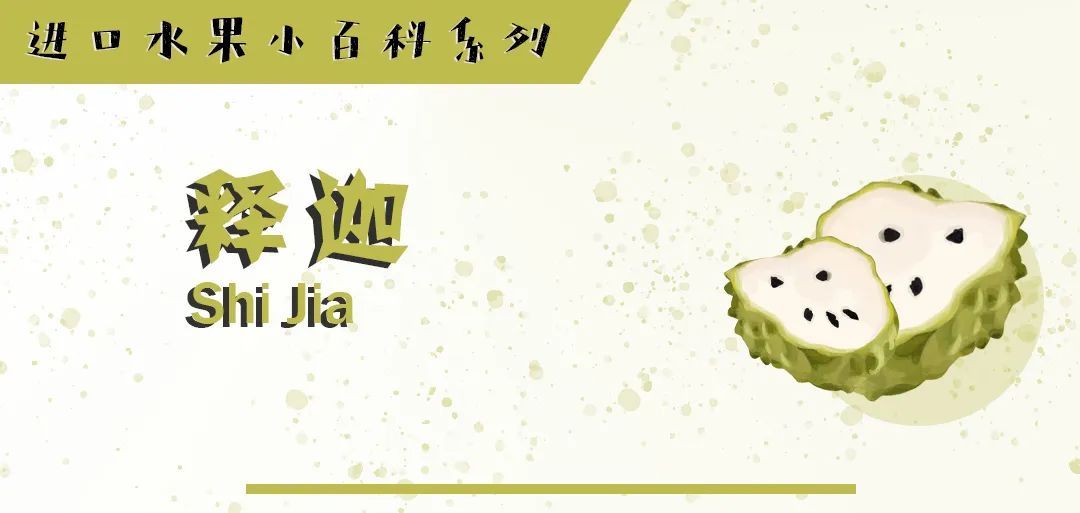 进口水果小百科系列,进口水果知识书