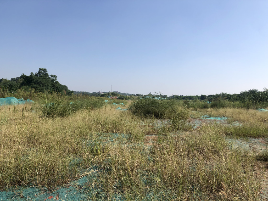 成都市生态环境督察问题反馈,成都督察