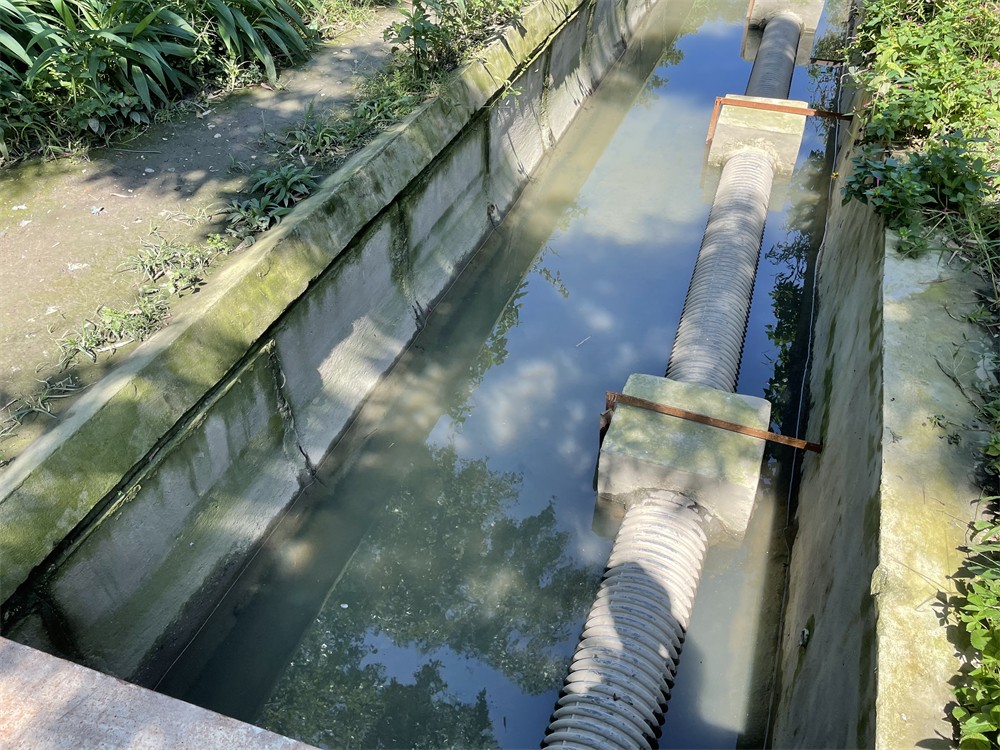 四川省生态环境保护整改清单,四川生态环保最新消息