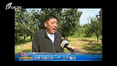 农民田间辛勤劳作喜迎首个丰收节,庆丰收让乡亲们的日子越过越红火