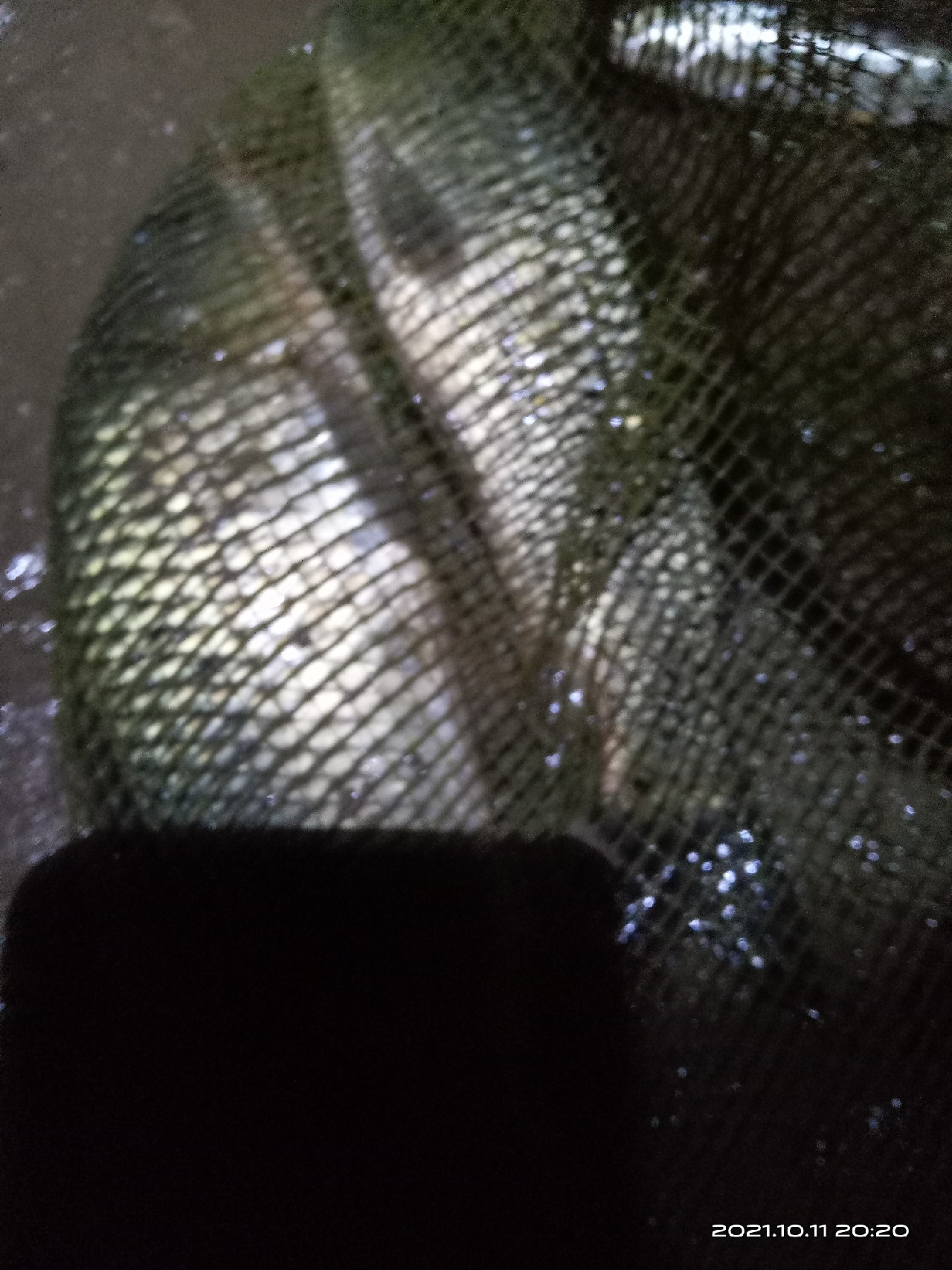 夜钓走水太厉害漂立不起来,夜钓鱼起浮到水面了怎么钓