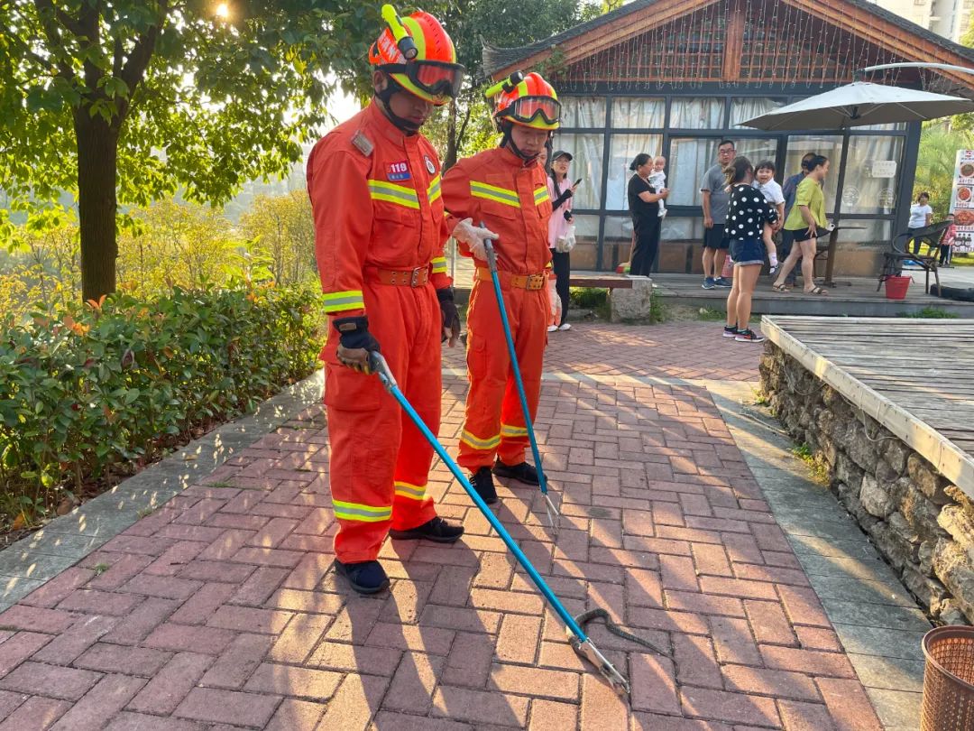 小心有蛇出没济南消防抓蛇解民忧,小心蛇