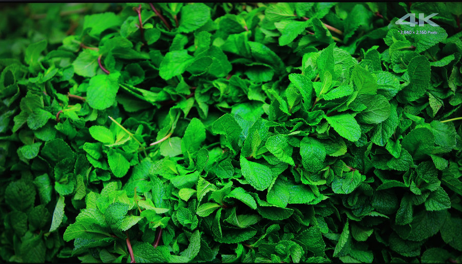 redmia65智能电视评测,redmiai智能电视x65评测2021款