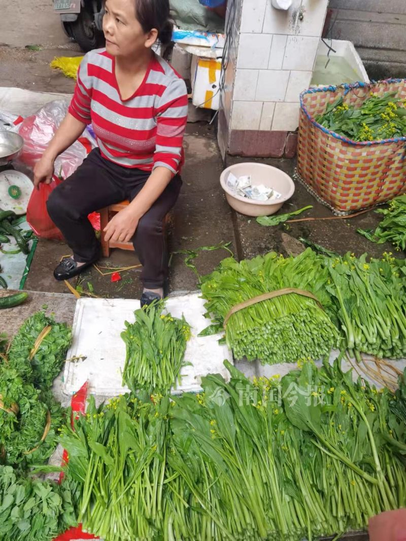 “快吃不起青菜了”？在柳州菜市，部分青菜比猪肉还贵几块钱