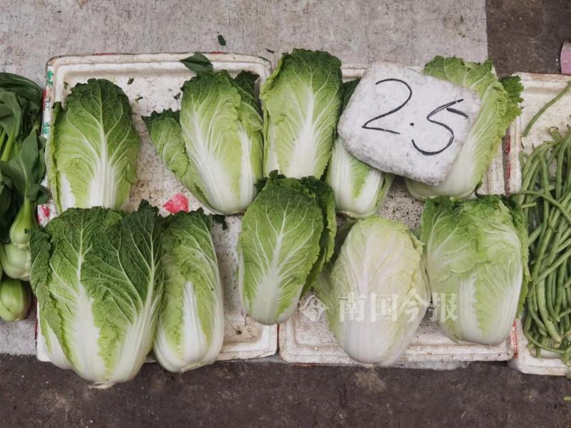 “快吃不起青菜了”？在柳州菜市，部分青菜比猪肉还贵几块钱