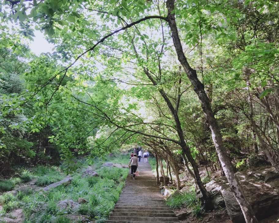 武汉冬季好玩的免费景点,武汉东湖免费景点有哪些