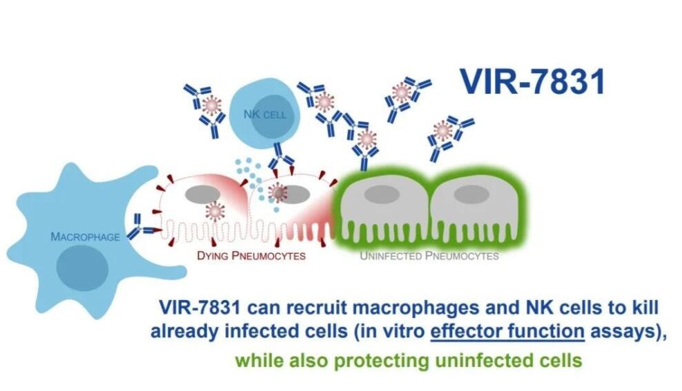新加坡新冠药,首款国产新冠抗体药物