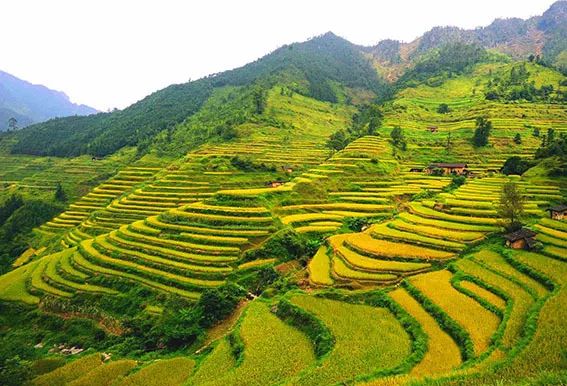 韶关最值得去的古村,韶关私藏了一个粉墙黛瓦的古村落