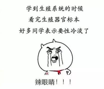 有个学医的男友是个什么体验,有个学医的对象是什么体验