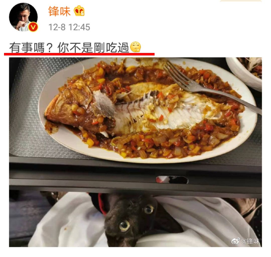 王菲谢霆锋被曝早已分手,王菲谢霆锋现在情感状态