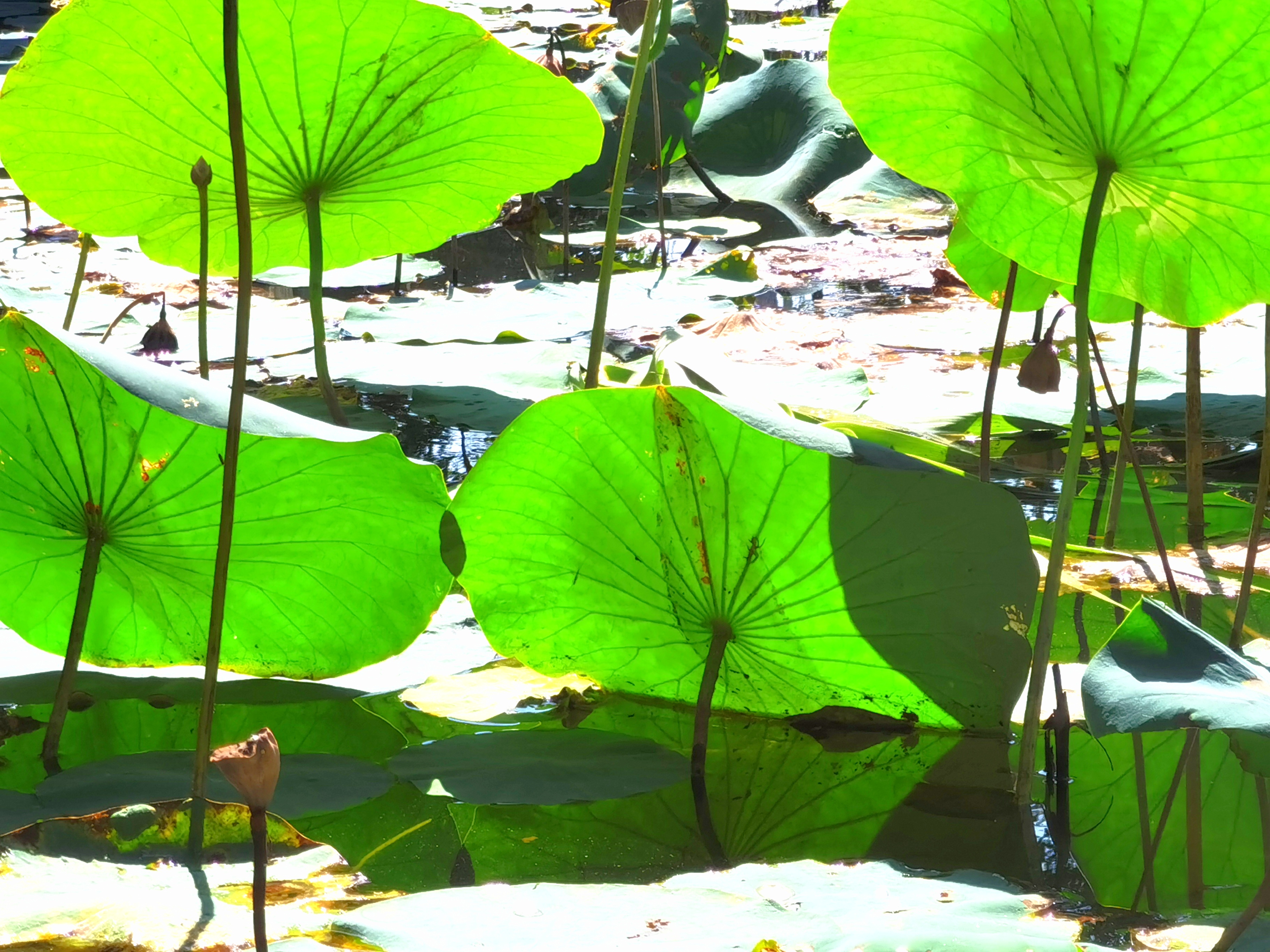 网购正品书,网购书柜