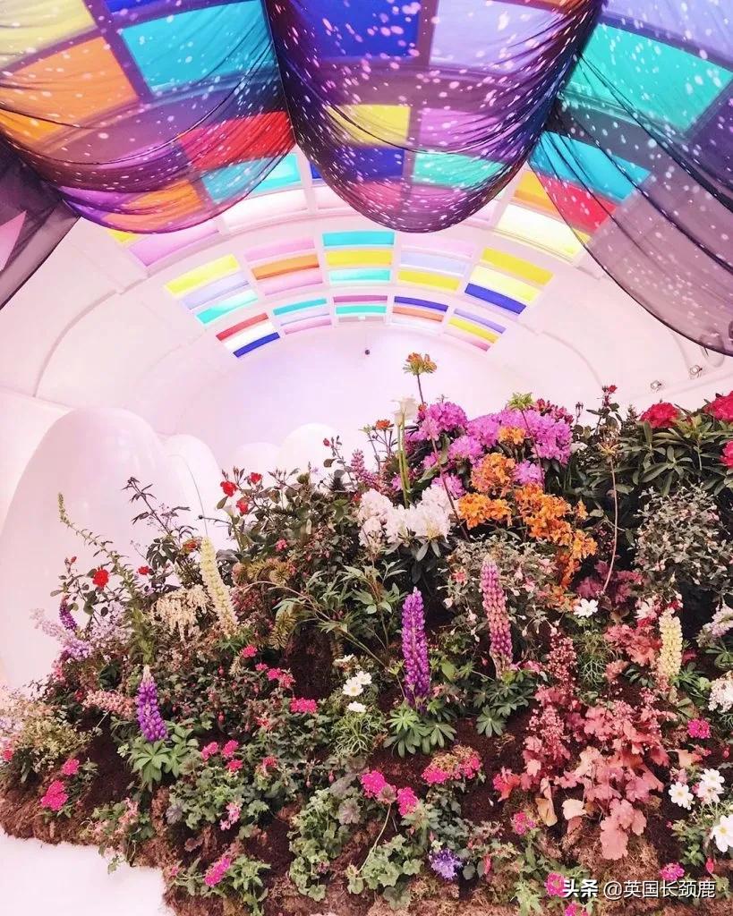 520/521：五月阳光下，伦敦依然盛放。记得常回来看看