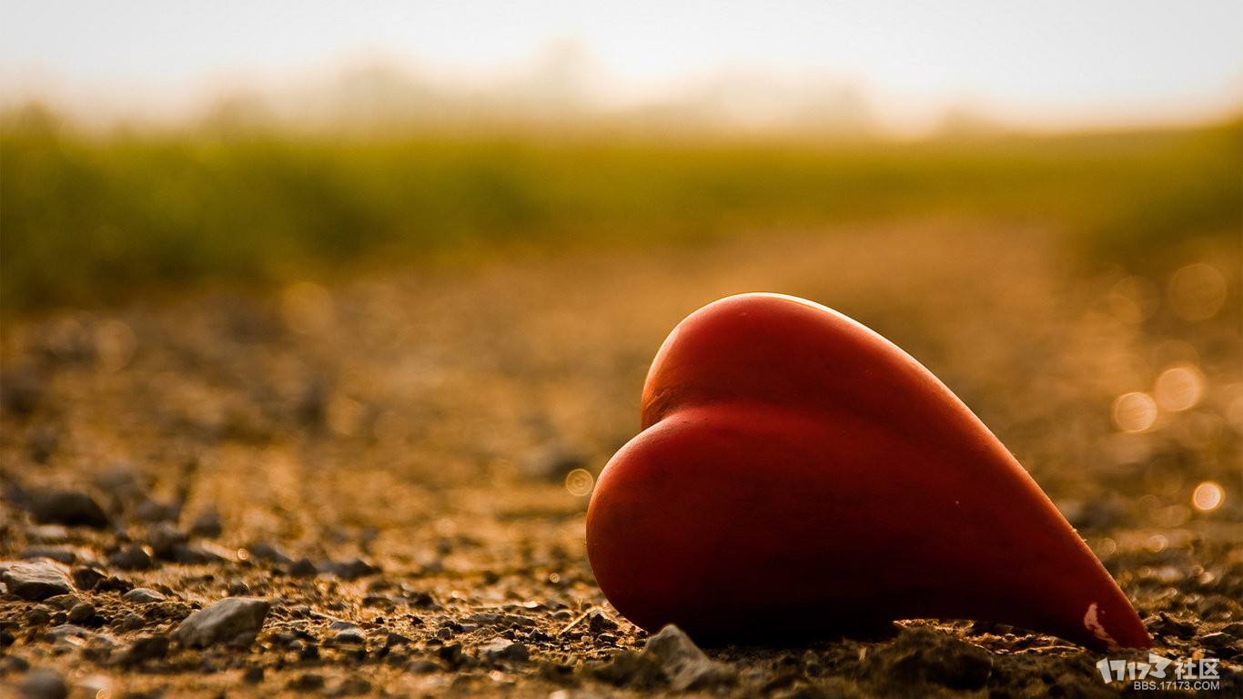 辅行诀真相讲解,辅行诀全书阅读