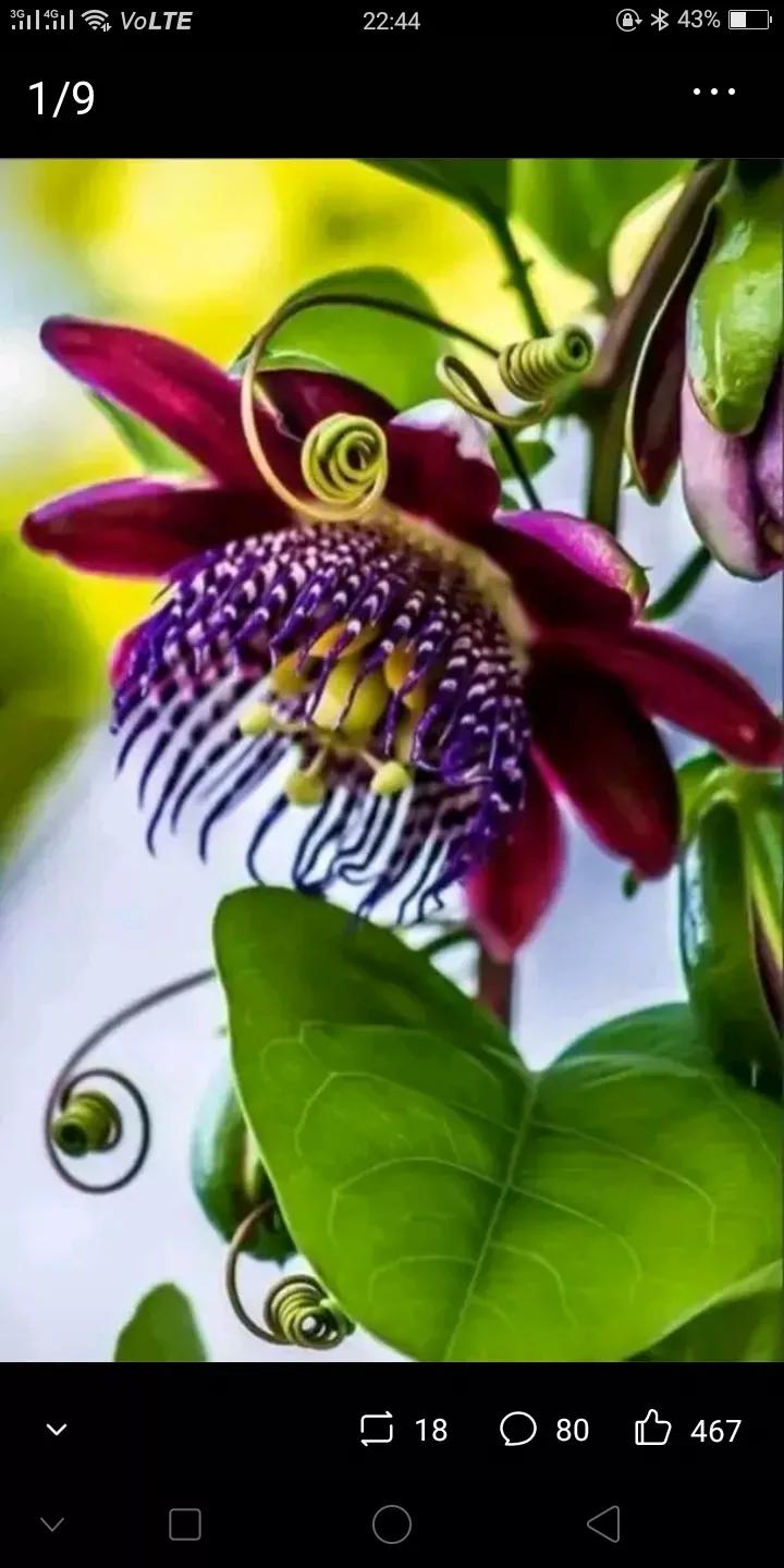 打工赚钱的十大技巧,打工挣钱还是做小生意赚钱