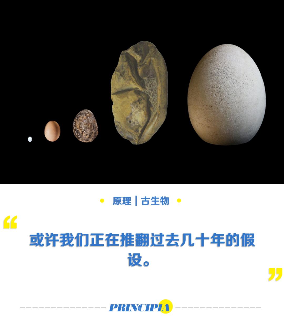 这三组“软蛋”，能*翻推**过去几十年的假设？