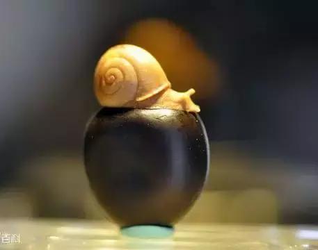 缅茄菩提子作用,缅茄菩提子怎么打孔