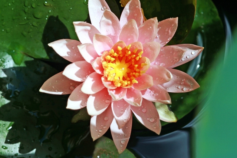 双子座喜欢开朗还是不开朗,双子座隐藏的另一种性格准到可怕