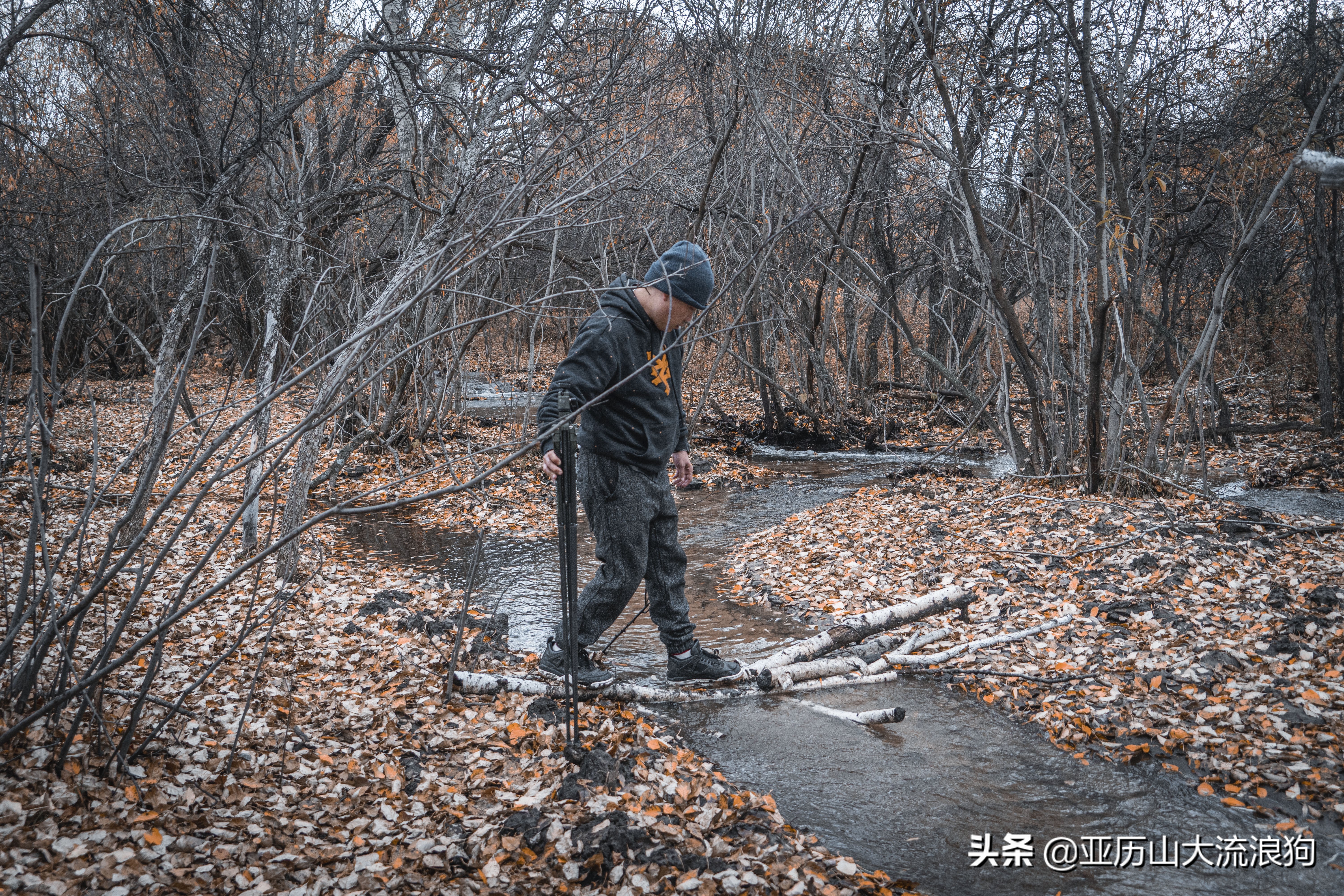 你那秋天来了吗？我这反正颜料泼了一地——内蒙古黄岗梁穿越之旅