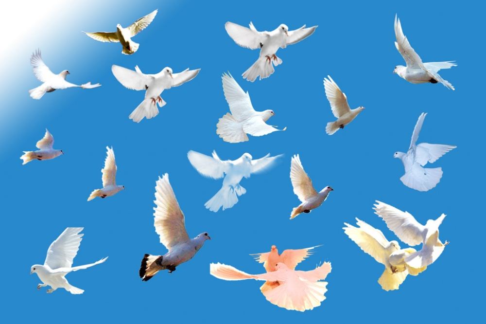 当一个人回首往事时不因虚度而悔,当回忆往事时不因虚度年华而悔恨