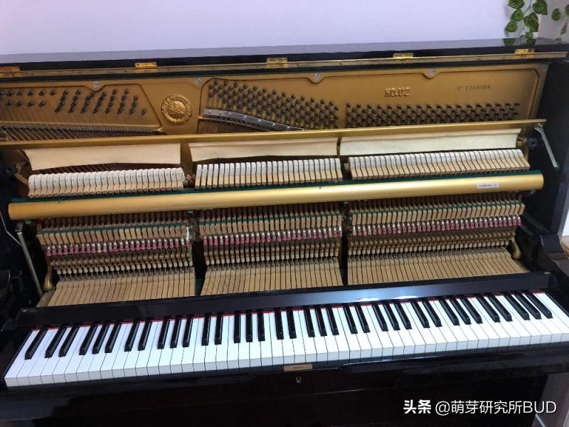 高端钢琴如何挑选,怎么挑钢琴品牌呢