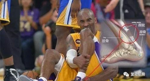 “斗牛”约不约？看完这篇助你轻松扣篮不受伤