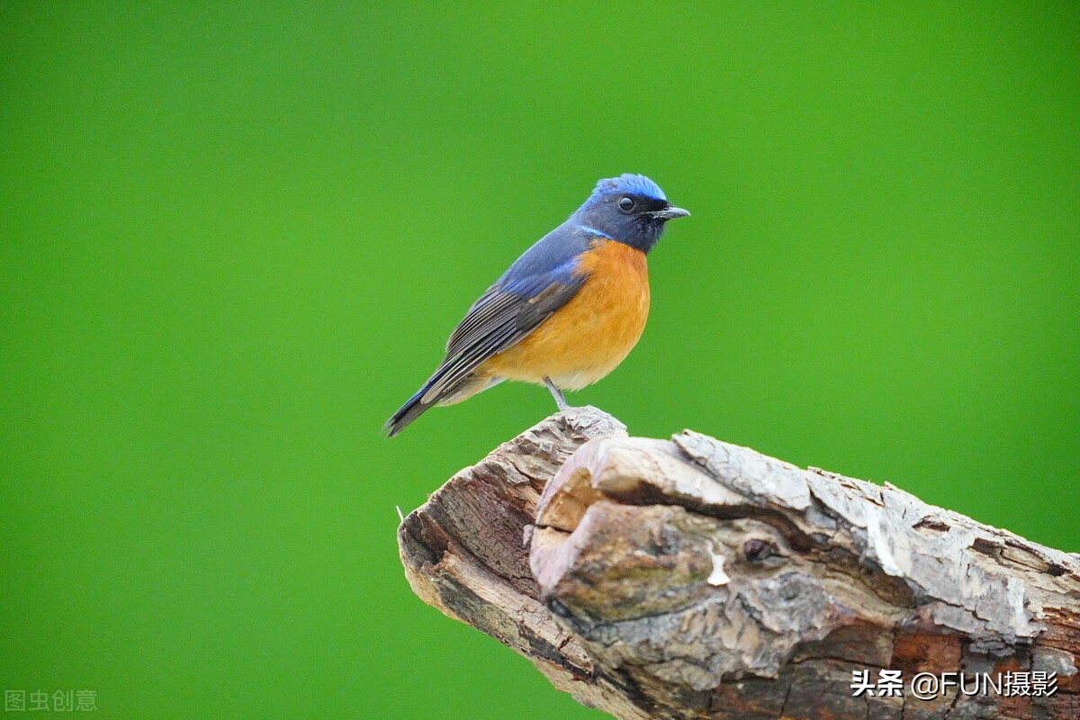 购买相机前想要了解什么,买相机最重要的参数是什么