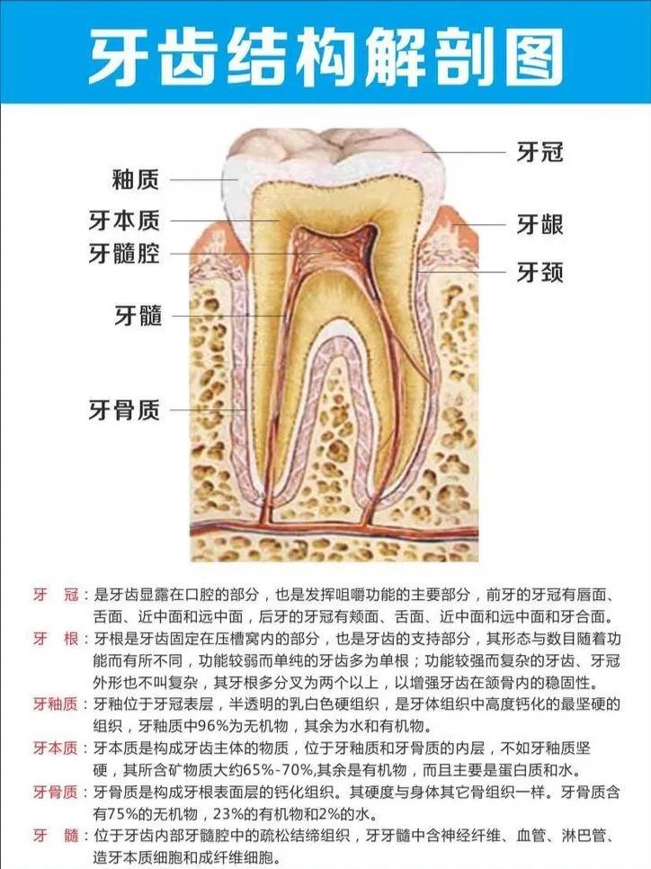 什么情况要做根管治疗,根管治疗是怎么样一个过程