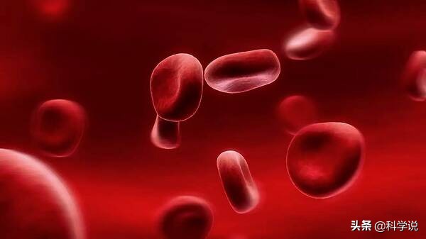 什么血型能生出熊猫血型的孩子,熊猫血型他的母亲应该是什么血型