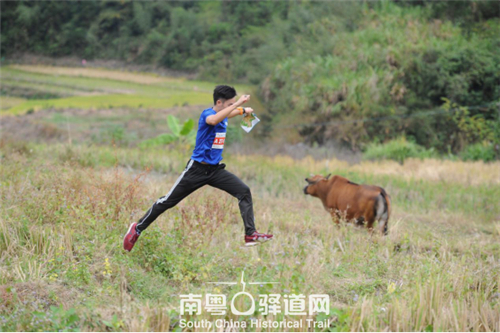 南粤古驿道定向大赛封开,南粤古驿道平远八尺站