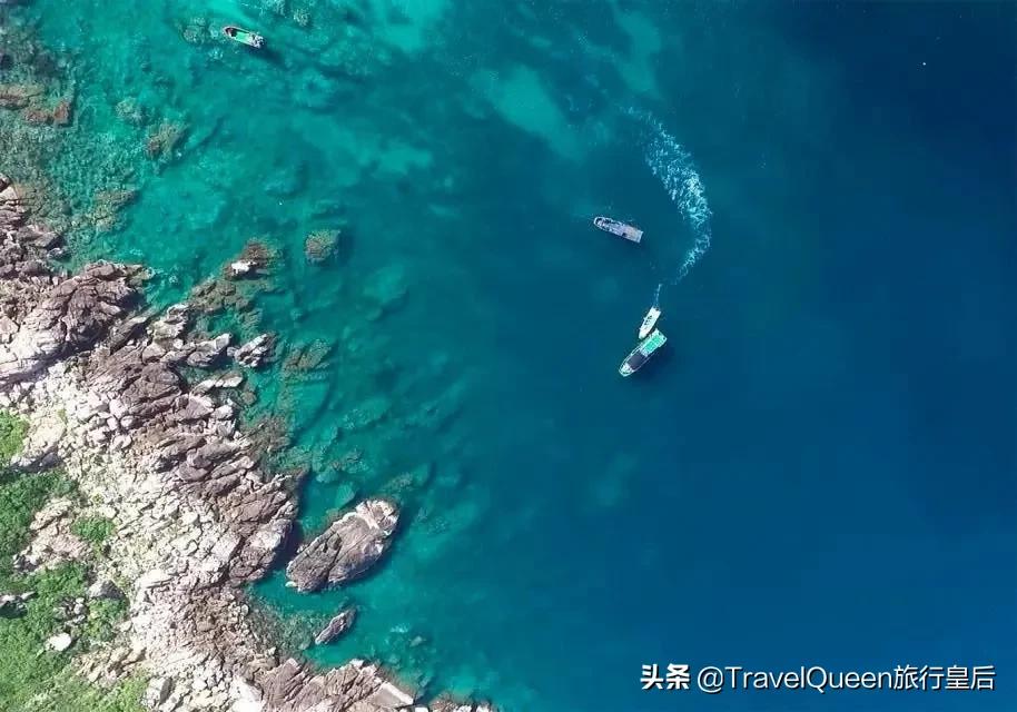 动物森友会无人岛一天可以去几次,动物森友会所有虫类图鉴