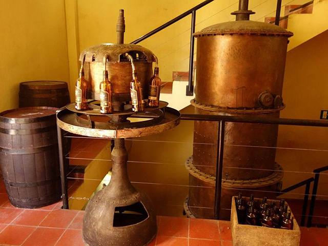 如何鉴赏朗姆酒,朗姆酒基本工艺