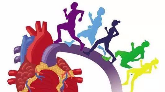 最适合锻炼的四种运动,各种运动种类