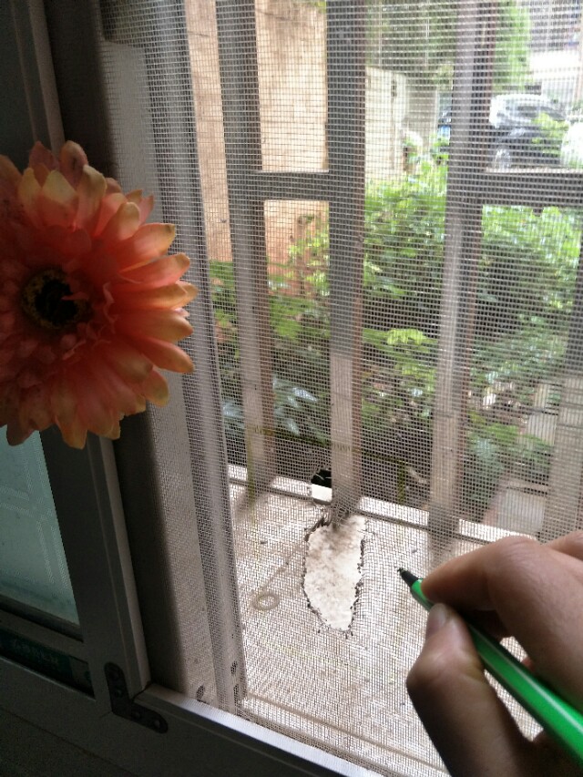 纱窗破了的小洞怎么样补比较美观,纱窗破了修补的妙招