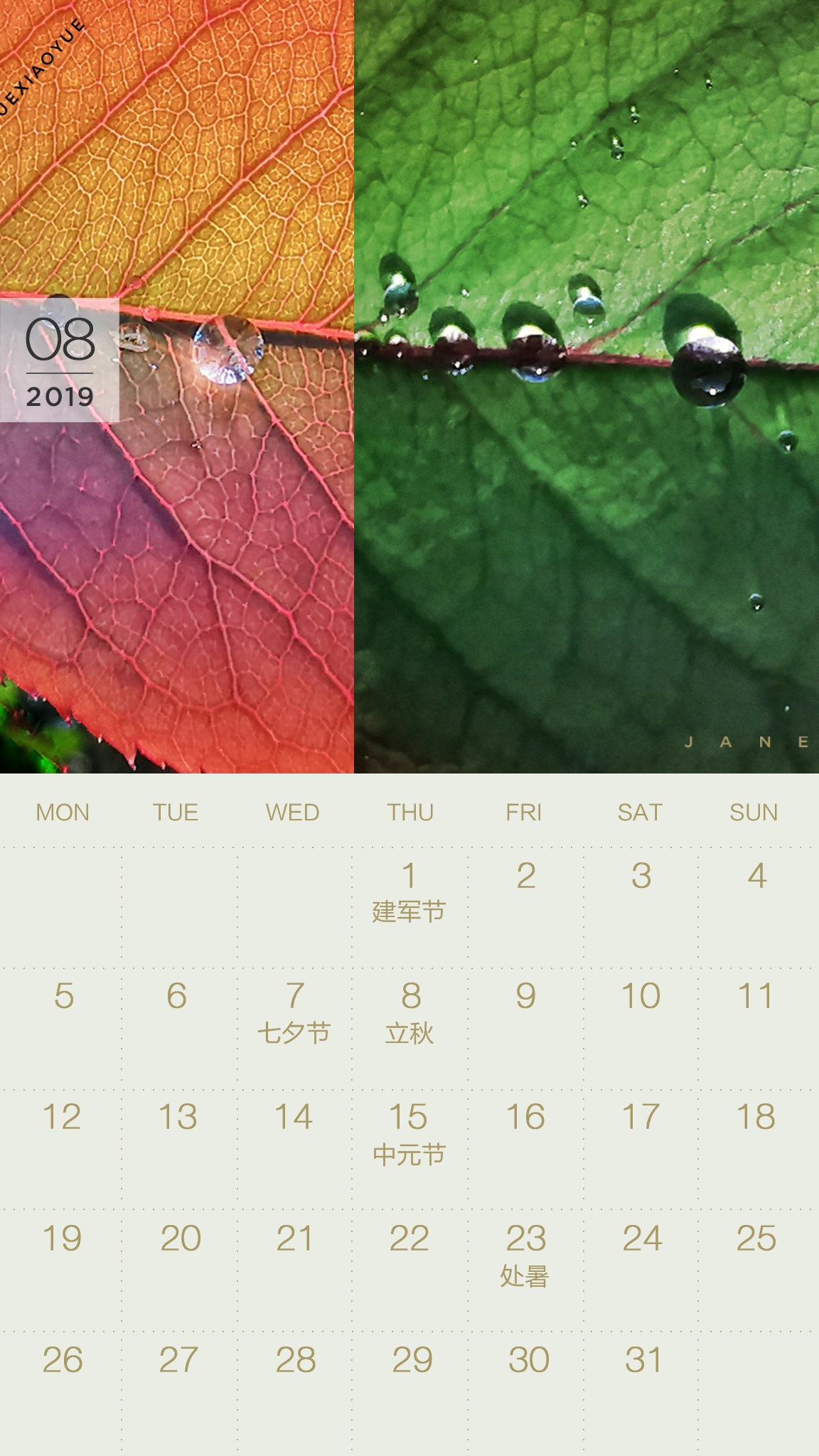 送你一张凉快动态壁纸,大暑送你清凉壁纸