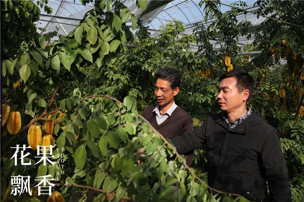 一个农村姑娘的创业经历,一个女农人的创业故事