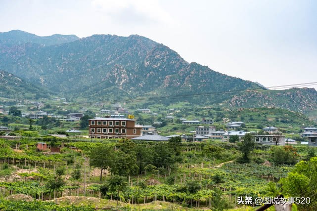 河北葡萄县，名气没*疆新**吐鲁番大，村民自称中国30%干红酒出自这