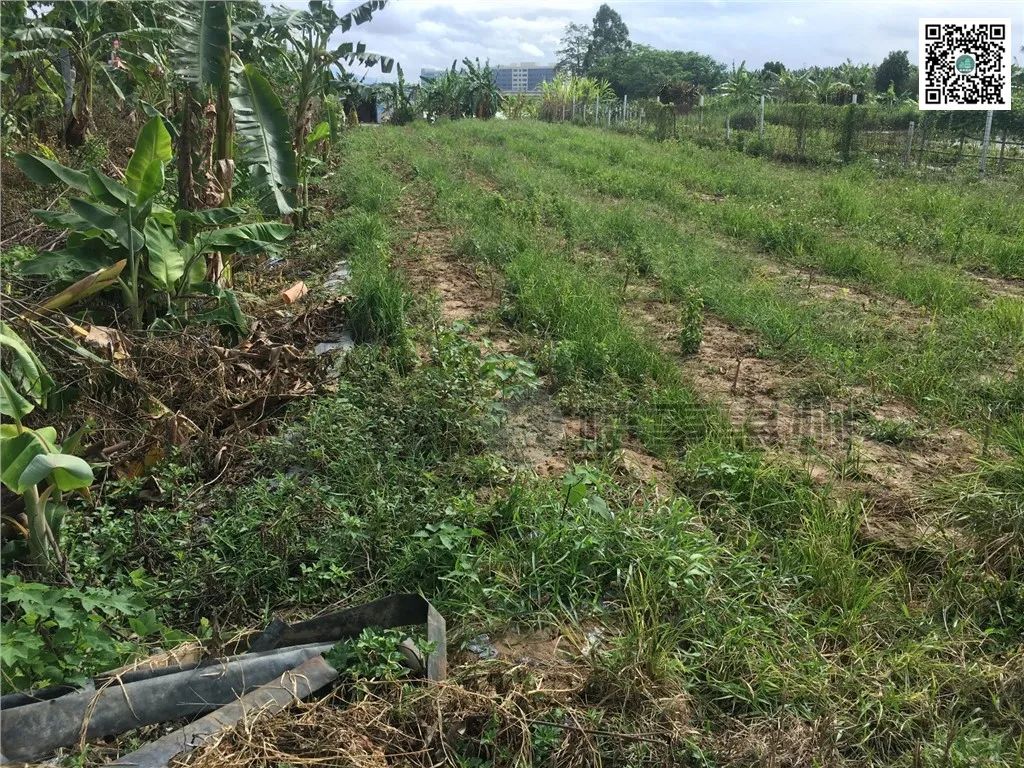 2019年土拍排行,上半年土地拍卖排行榜