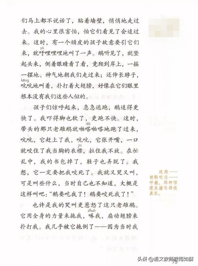 小学生怎样给书做批注,小学生如何给文章做批注