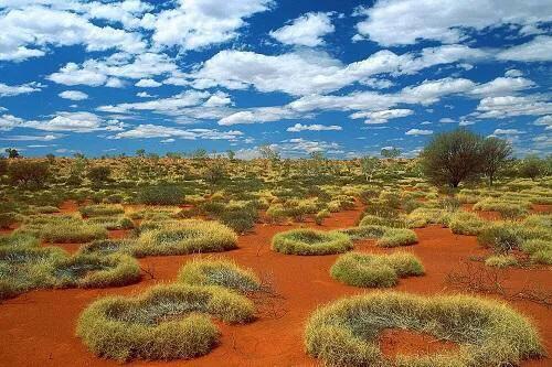 无用但有趣的小玩意,无用的小知识