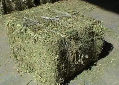 花生秧喂牛羊有什么好处？