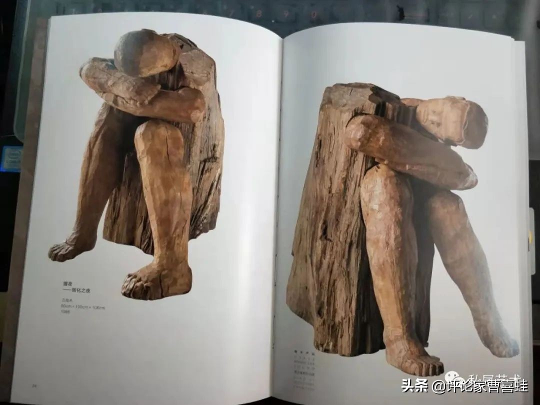 曹喜蛙,曹喜蛙代表作品