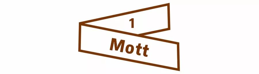 女生第一只轻奢包该买哪个牌子,第一只千元轻奢包怎么选