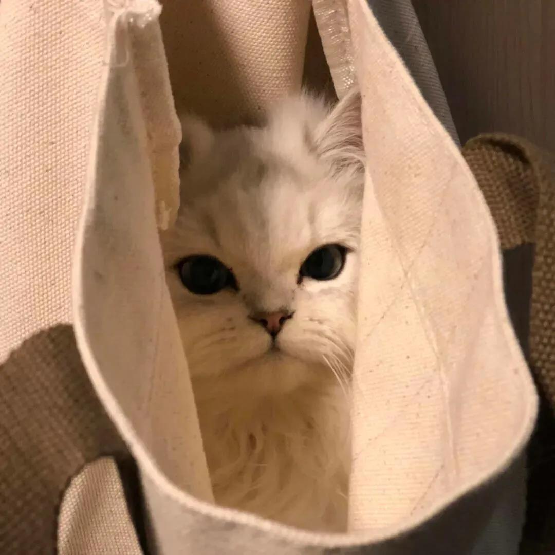 睡眠少对身体的危害图片,睡眠少人身体会瘦吗