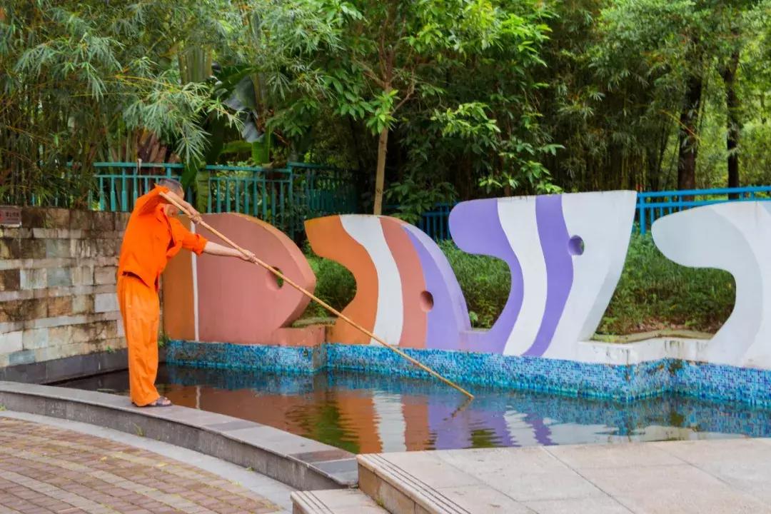 深圳哪里有摩天轮可以坐,深圳哪里有免费摩天轮