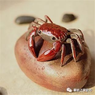 紫砂金蟾茶宠需要开光吗,适合普洱生茶的紫砂茶宠