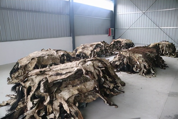 养驴发家致富能人,矿山老板致富项目