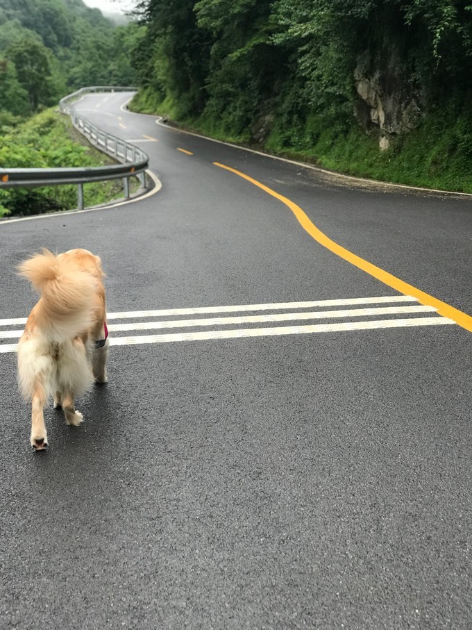 成都喇叭河自驾,自贡到喇叭河自驾