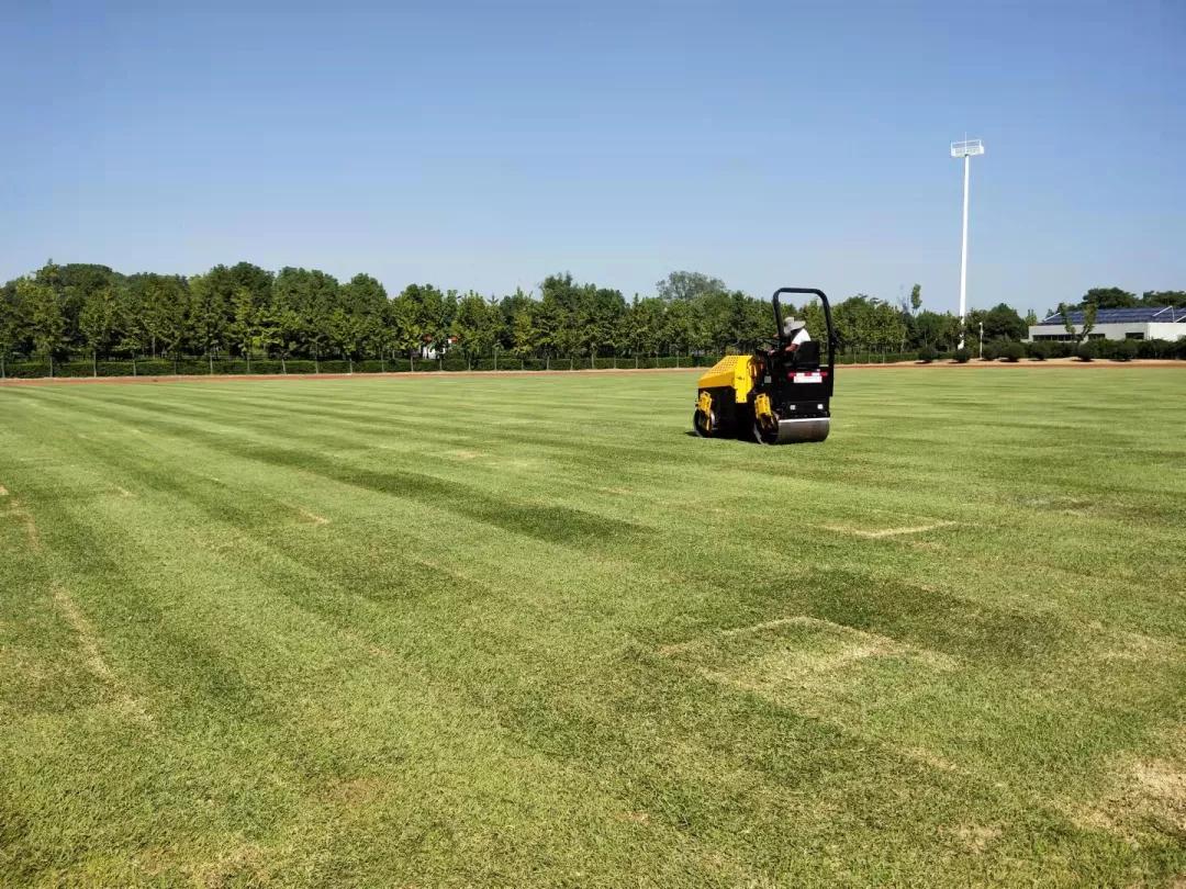 亚运体育赛事中心项目,亚运体育场馆