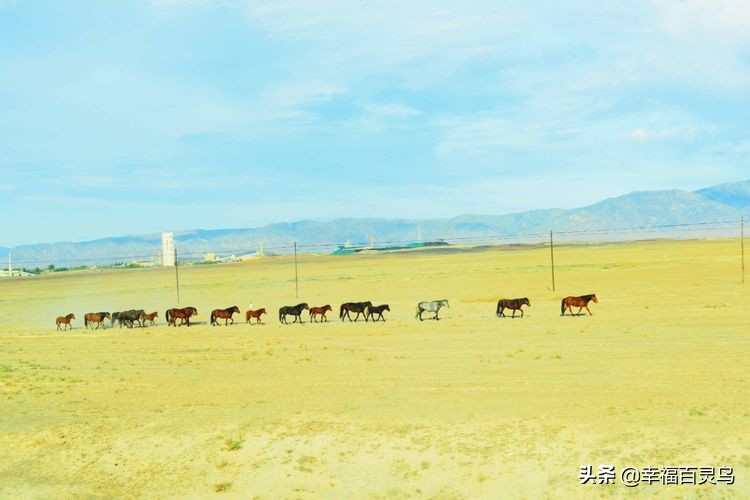 有了这攻略,自驾*藏西**游省心很多